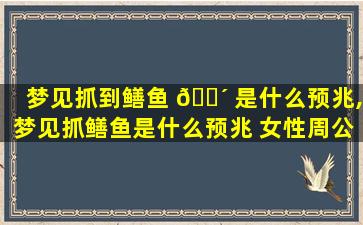 梦见抓到鳝鱼 🌴 是什么预兆,梦见抓鳝鱼是什么预兆 女性周公解梦